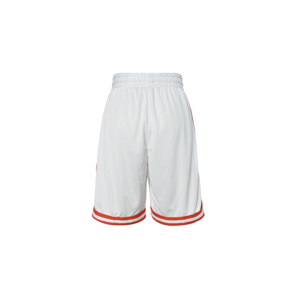 Nike Баскетбольные шорты мужские Summit White FN2652-121
