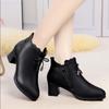 Women Ankle Boots Autumn Winter Warm Booties Black Leather Shoes Woman 2024 New Zipper Square Heel Pumps Zapatos De Mujer