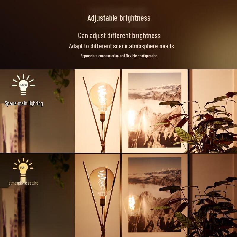 Philips Smart LED Dimmable Retro A60 Bulb