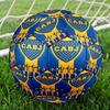 Boca Juniors Crest  Size 5 Soccer Balls, High-Quality, Anti-Slip, Protective Football, a Unique Gift Suitable for Birthdays, Christmas