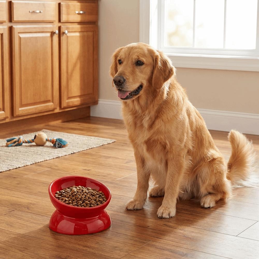 Flat Bottomed Ceramic Elevated Cat Bowl Anti Overturning Pet Food Dish  For Feeding Water