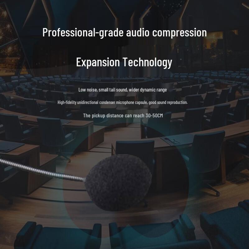 Runpu Professional UHF Wireless Dual Headset Conference Microphone System (CN version)