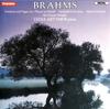 CD BRAHMS - LYDIA ARTYMIW - Variations And Fugue On A Theme By  CHAN8410 Chandos 1986 UK Classical Used