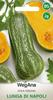 Butternut Squash Lunga Di Napoli 2g Zucchini Pumpkin Seeds -