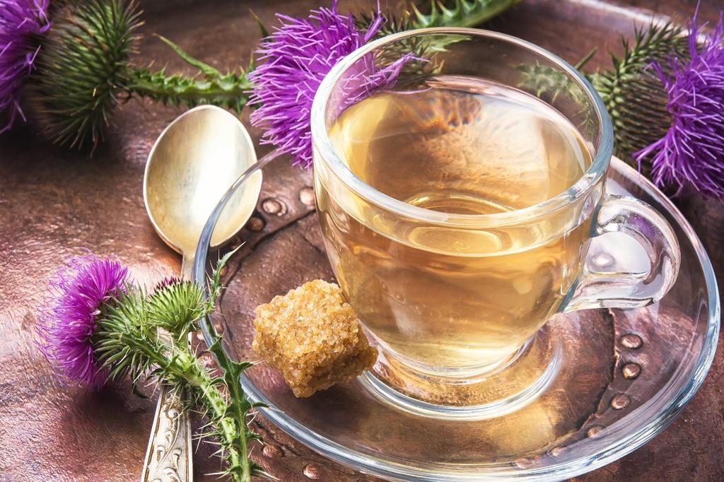 SAFLAX Garden in the Bag - Расторопша пятнистая - 75 семян - С субстратом в подходящем стоячем пакете - Расторопша пятнистая