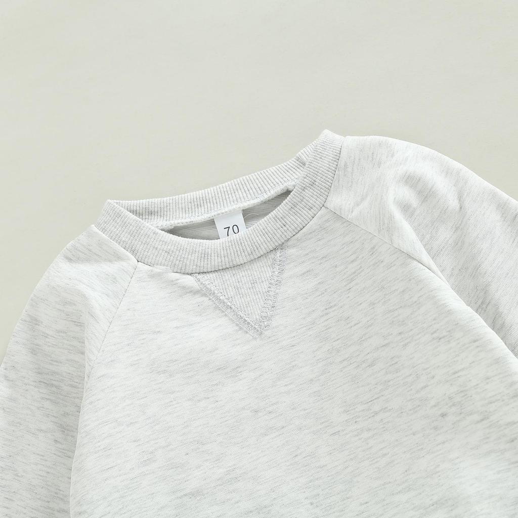 Toddler Boys 2pcs Activewear Outfits Solid Color Long Sleeve Sweatshirt T-shirt and Elastic Casual Pants Suit