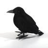 3 шт./набор Тема вороны, макета птицы, Садовая статуя, Скульптура, Игрушка, Перо, Животное, Фестивальное украшение, Реквизит, Праздничные принадлежности, Украшение