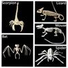 Scorpion Horror Home Mouse Bat Party Artificial Skull Trick Props Plastic  Bones Animal Skeleton
