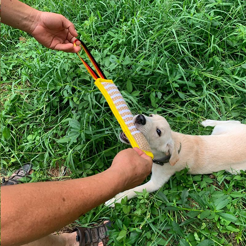 Multi Color Jute Dog Tug Toy Bite Pillow Bite Stick Tear Resistant Chew Training for Large Medium All Breed Interactive Tug