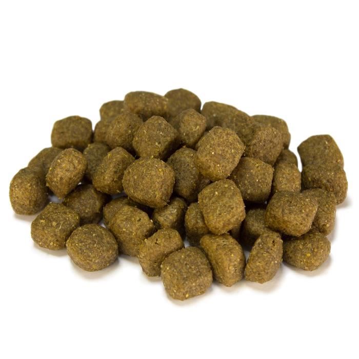 Aliment - Arquivet - Chien Adulte - Poulet &amp; Riz - 3 kg - Croquettes pour Chien Moyen