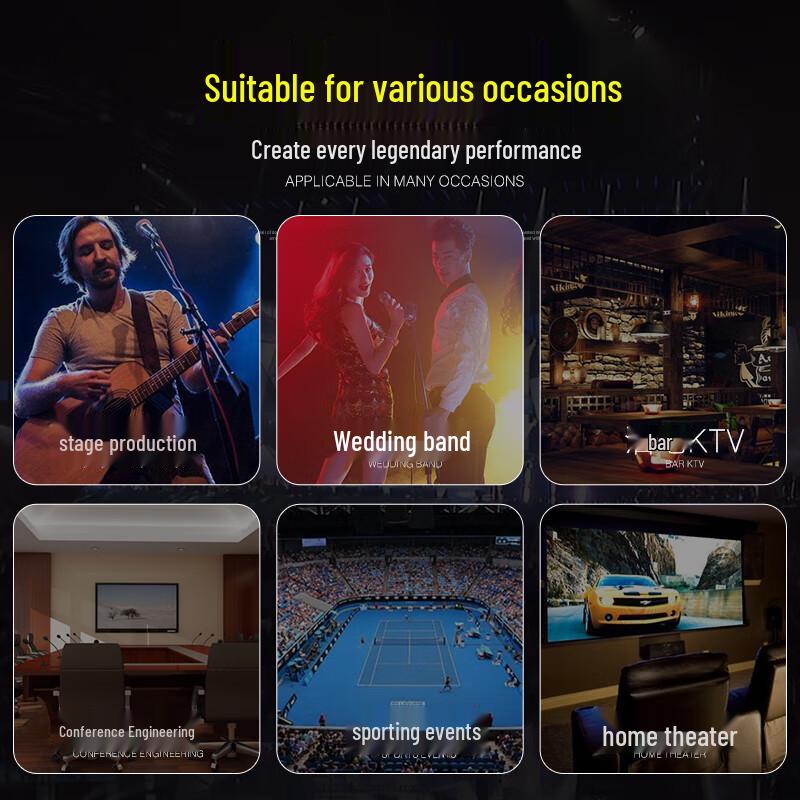 KAXISAIER A-Series 10-inch Passive HIFI Speaker