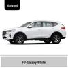 Карандаш для подкраски Haval H6 Cool Dog, Черный Spot & Ruixue Белый Краска для ремонта царапин