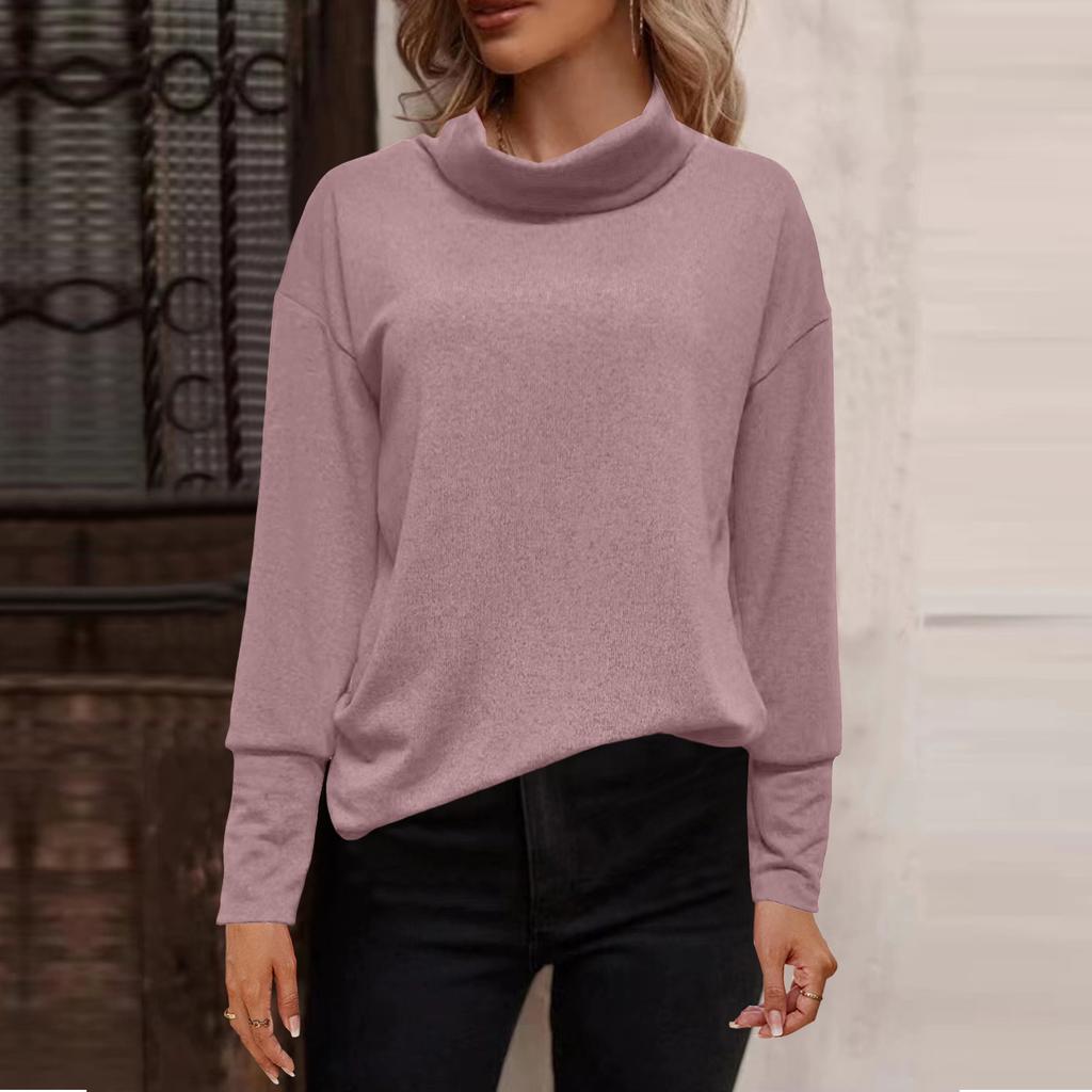 Autumn and Winter Women's Fashion Casual Turtleneck Brushed Knitwear