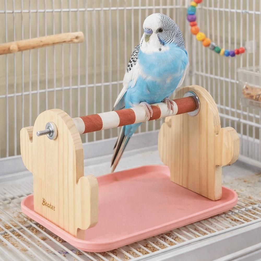 Устойчивая деревянная платформа для птиц с поддоном, палочками для измельчения в клетке для корелла.