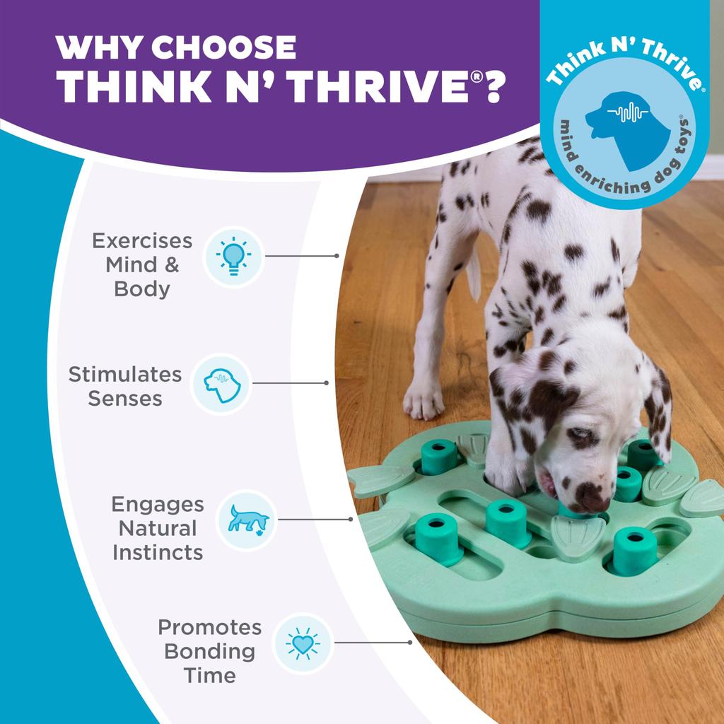 Outward Hound Nina Ottoson Toy Dog Educational Toy Hide Ninch (Puppy Slide)