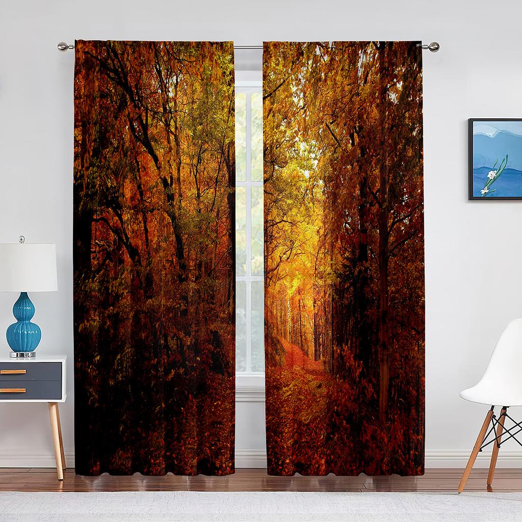 Fall Forest Tulle Curtains for Living Room Bedroom Decoration Autumn Trees Woodland Sunshine Nature Scenery Sheer Voile Curtain