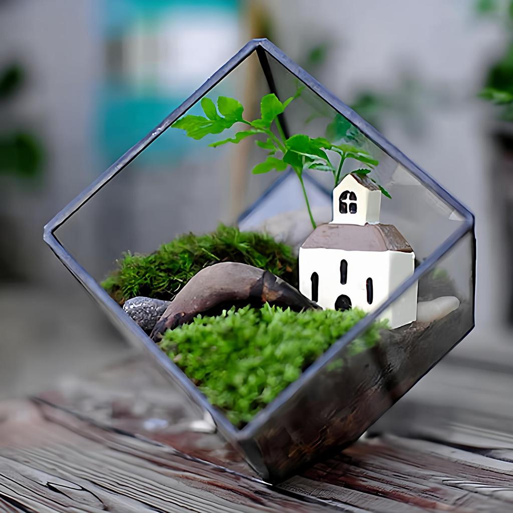 Small Retro Cube Glass Greenhouse for Preserved Flowers and Succulents