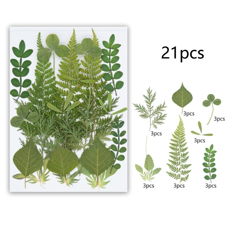 495Piece Dried Flower Craft Set Including Pressed Blooms and Butterfly Stickers for Resin Art and Journal Decorating