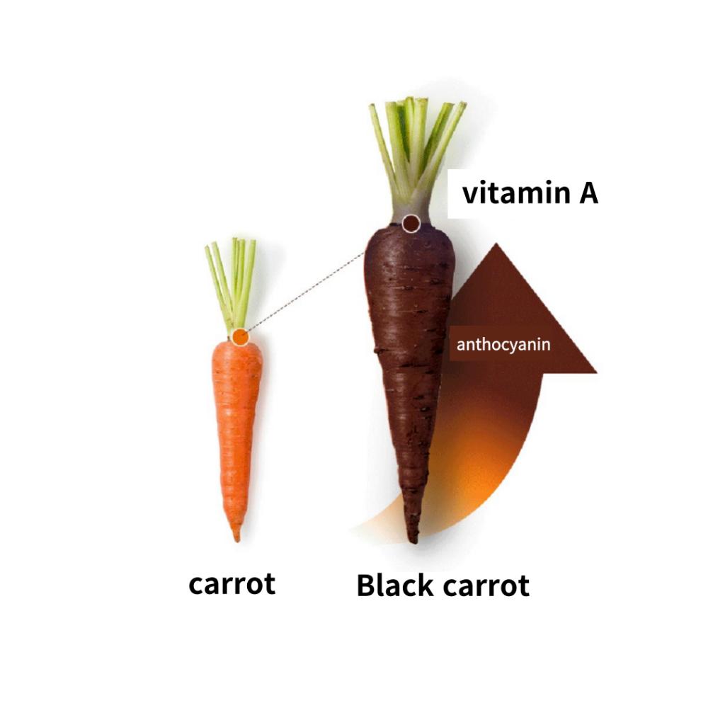 GOODAL Black carrot Vita A Retinol Elastic Ampoule 30 ml / Retinol Face Serum with Vitamin A / Anti Aging Face Serum