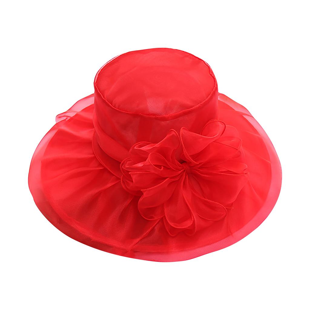 Women's Organza Church Fascinator Bridal Tea Party Flower Wedding Hat Large Rim Basin Cap