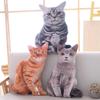 Очаровательная 3D Мяу Звездная Кошка Плюшевая Кукла Диванная Подушка Подушка