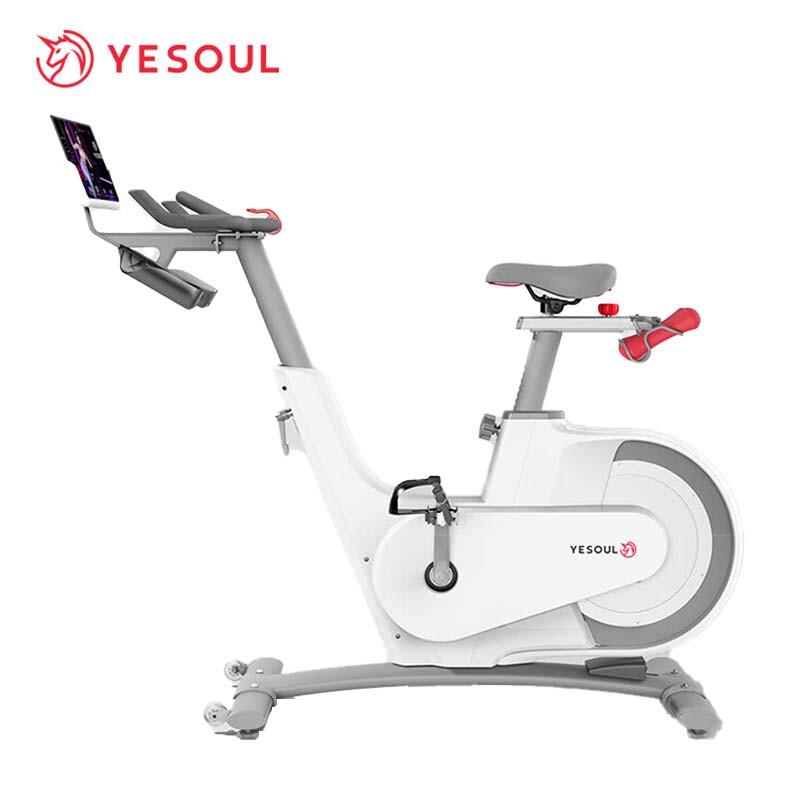 YESOUL Smart Magnetic Home Exercise Bike CN plug (adapter included)