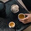 Портативный керамический дорожный чайный набор Wanqiantang