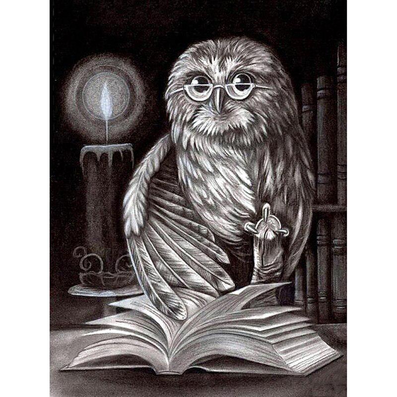 Алмазная картина Сова Книга Полный дрель Круглые инструменты Алмазная вышивка Животные Фотографии Стразы