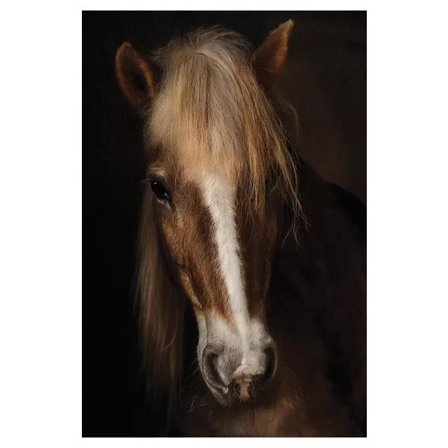 Африканский дикий тигр картины на холсте постеры и принты настенное искусство декоративные картины для гостиной домашний декор куадрос