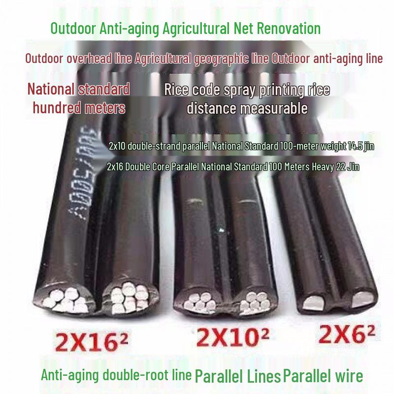 National Standard 2-Core 10/16mm² Anti-Aging Outdoor Aluminum Electric Cable for Household and Farm Use