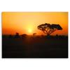 Canvas Print, African Sunset