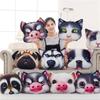 Прямые продажи Симпатичная имитация Съемная и моющаяся 3D подушка с изображением животных Детская подушка для обеденного перерыва Кондиционер Одеяло Женский подарок