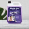 Blackberry Bath Shower Gel 5L Den