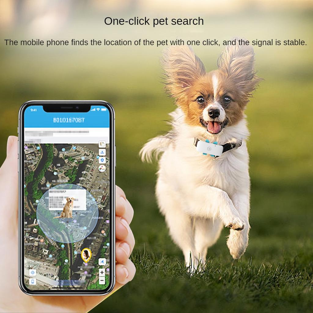 Pet 4G GPS глобальный локатор для отслеживания кошек и собак обеспечивает удаленный просмотр приложения