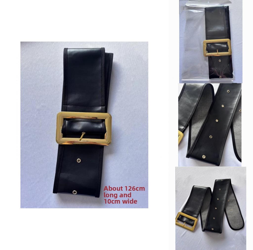 Women Pu Belt With Alloy Pin Buckle For Dresses And Outerwear Trend Accessory