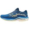 Mizuno Wave Rider 27 Amsterdam беговые кроссовки