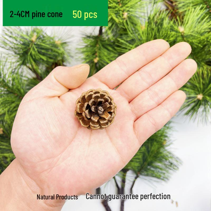 Natural Pine Cone and Dried Flowers Craft Kit for DIY Decor and Kindergarten Projects