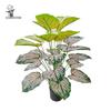 Artificial Bonsai Tree with Large Green Leaves, Potted for Home or Hotel Living Room Decor