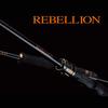 Daiwa Удилище для ловли окуня Rebellion 741ML+FS