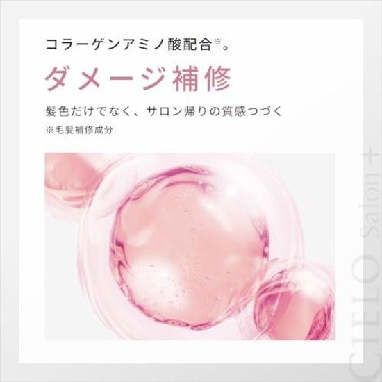 Cielo Color Treatment Overall Use Bonus (Gray Hair Dye Treatment) Dark Brown 230g Self-Coloring