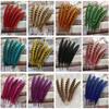 10 Pcs Beautiful High Quality 10-15cm/4-6inches Natural Pheasant Feathers 11 Colors Optional DIY Decorative