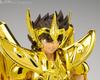 TAMASHII NATIONS Saint Cloth Myth EX Saint Seiya Sagittarius Seiya Successor of the Golden Cloth 170mm PVC ABS Painted Movable Figure - - Approx. & &