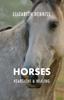 The Horses, Heartache & Healing Book