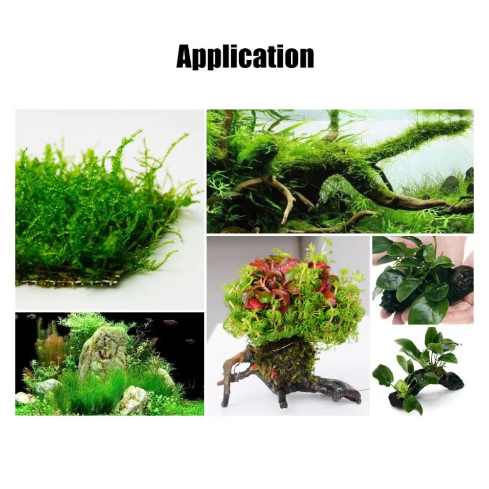 1 шт. Сделай сам Мох Леска для обвязки Суперпрочная Прозрачная Водное растение Живое растение Коряга Шпагат Украшения для аквариума