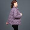 Женская легкая маленькая стеганая куртка, короткая пуховая стеганая куртка, осенне-зимняя куртка больших размеров, стеганая куртка