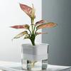 Automatic Self Watering Flower Pot Transparent Visible Water Level Plant Container Gardening Tools