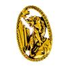 New Year Tiger Brooch Zodiac Animal Women And Men Unisex Pin 2 Colors Available Alloy Material