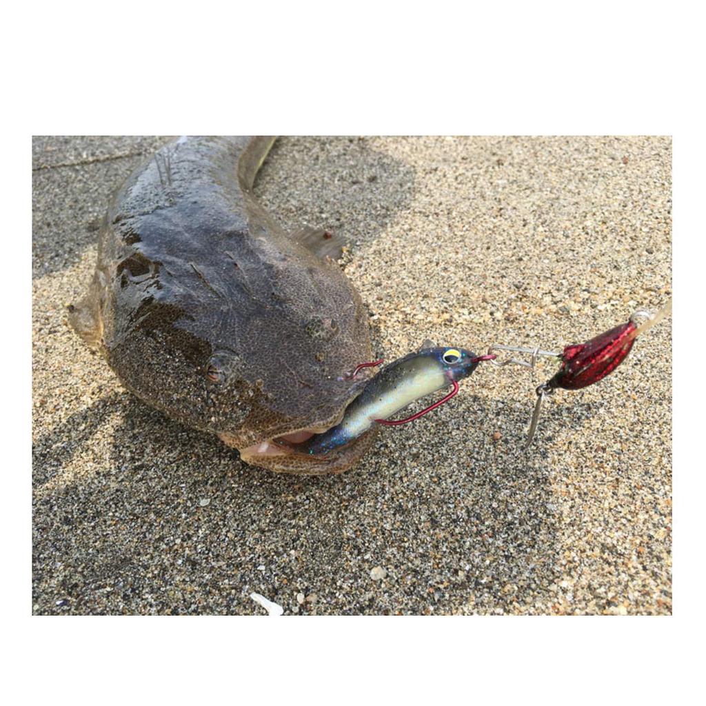 Magbite Snatch Bite Shad 3 дюйма 06 Светящийся Хара Приманка