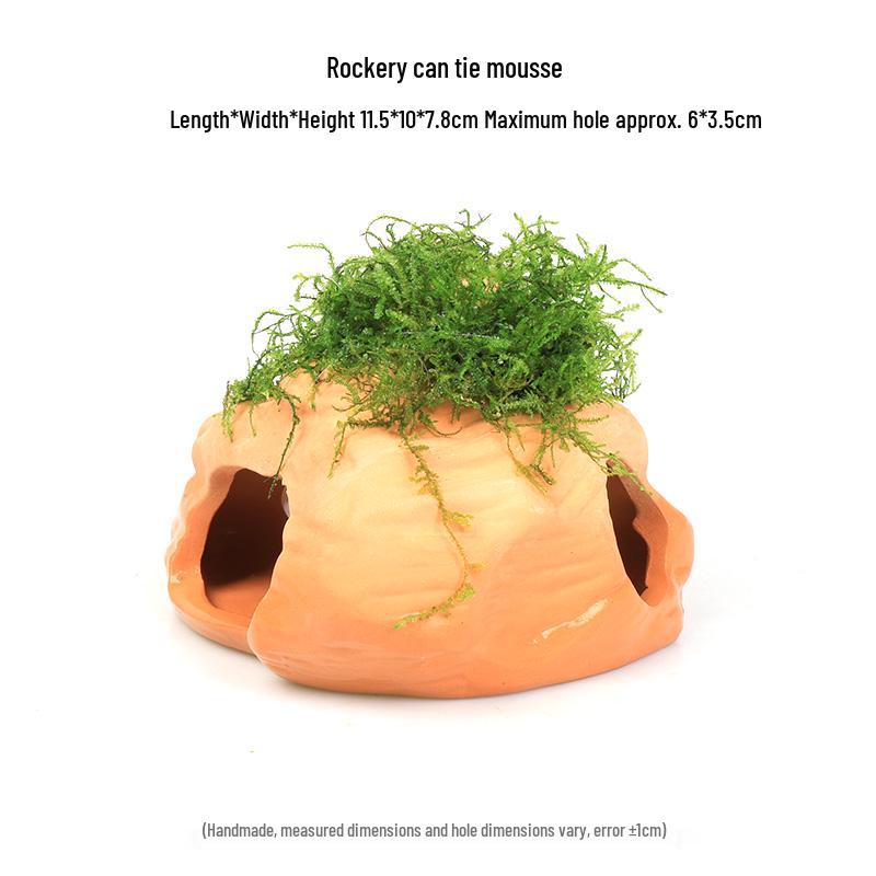 Aquatic Plant Moss Hideaway: Real Plant Jar for Fish & Shrimp