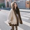 Winter Women Warm Thickened Coat Korean Lazy Mink Fur Jacket Plush Fashion Outerwear